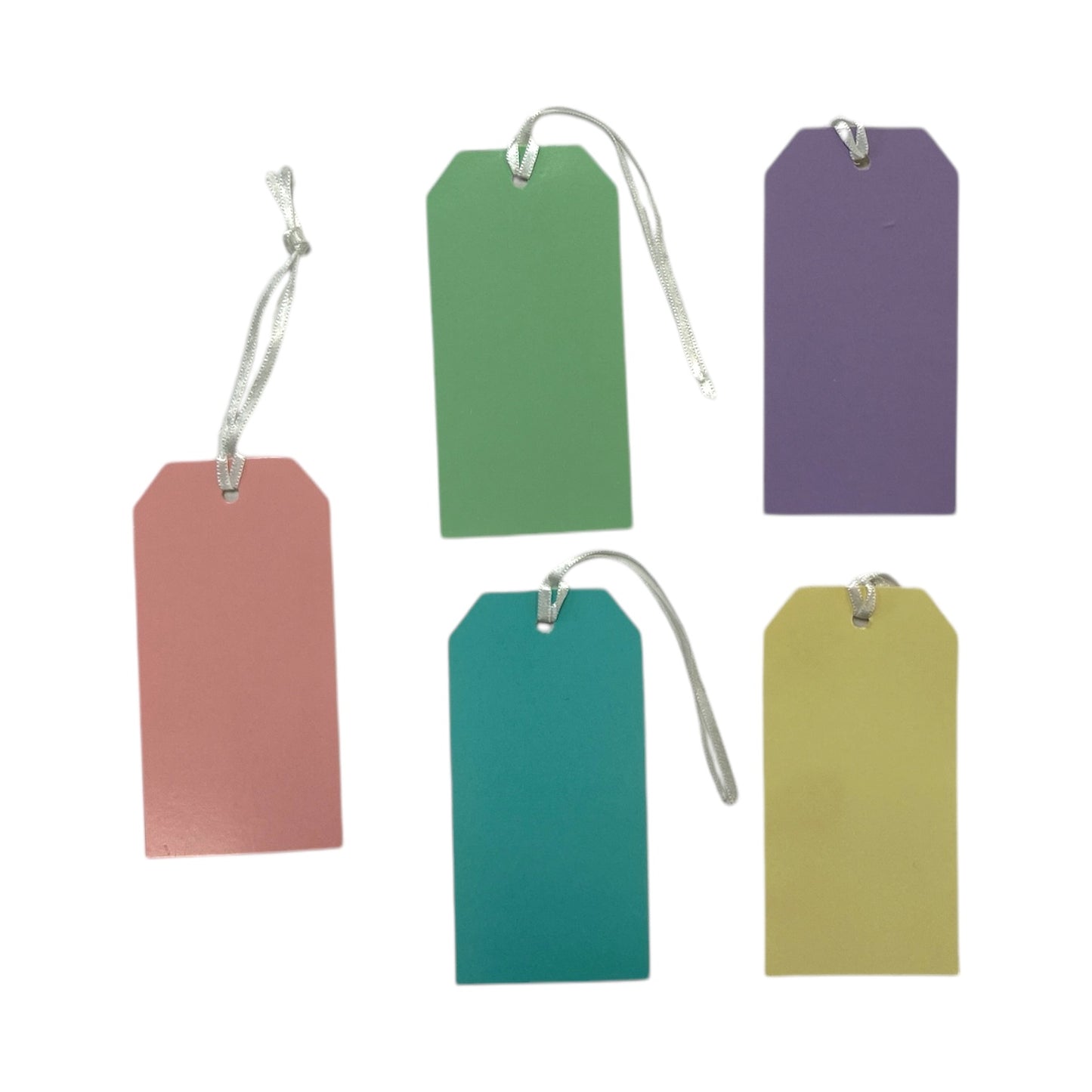 Pack of 10 Assorted Pastel Colour 120x60mm Strung Tags