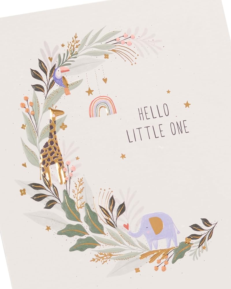 Hello Little One Design New Baby Birth Congrats Card