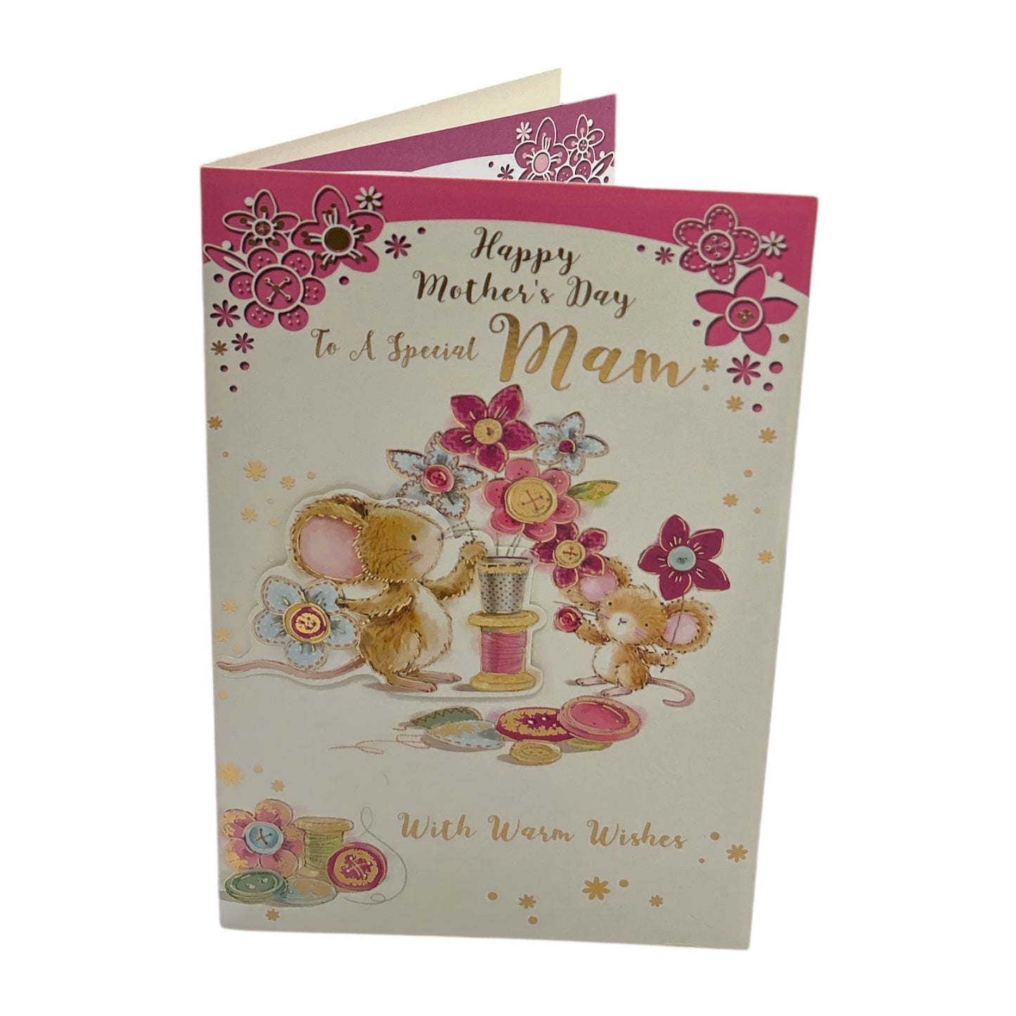 To A Special Mam Mouse Holding Flower Design Mother's Day Card