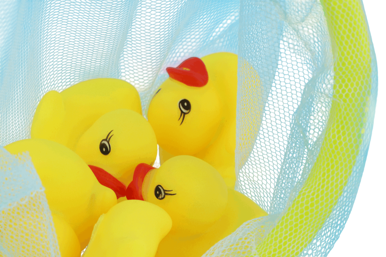 Pack of 5 Pieces Ducks with Net