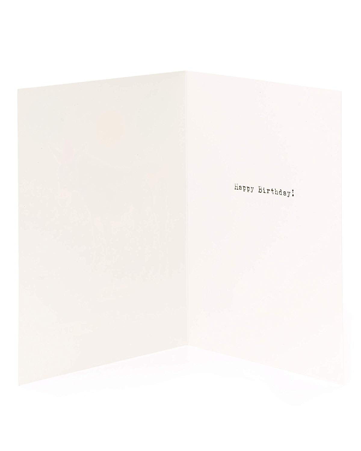 Humour Donkey Birthday Card