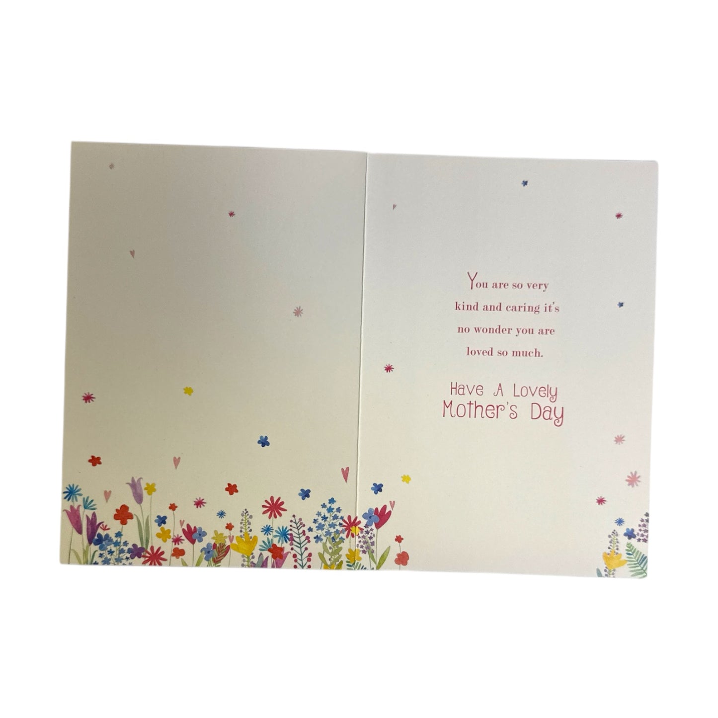 To A Dear Nanna Painting Of Flowers Design Mother's Day Card