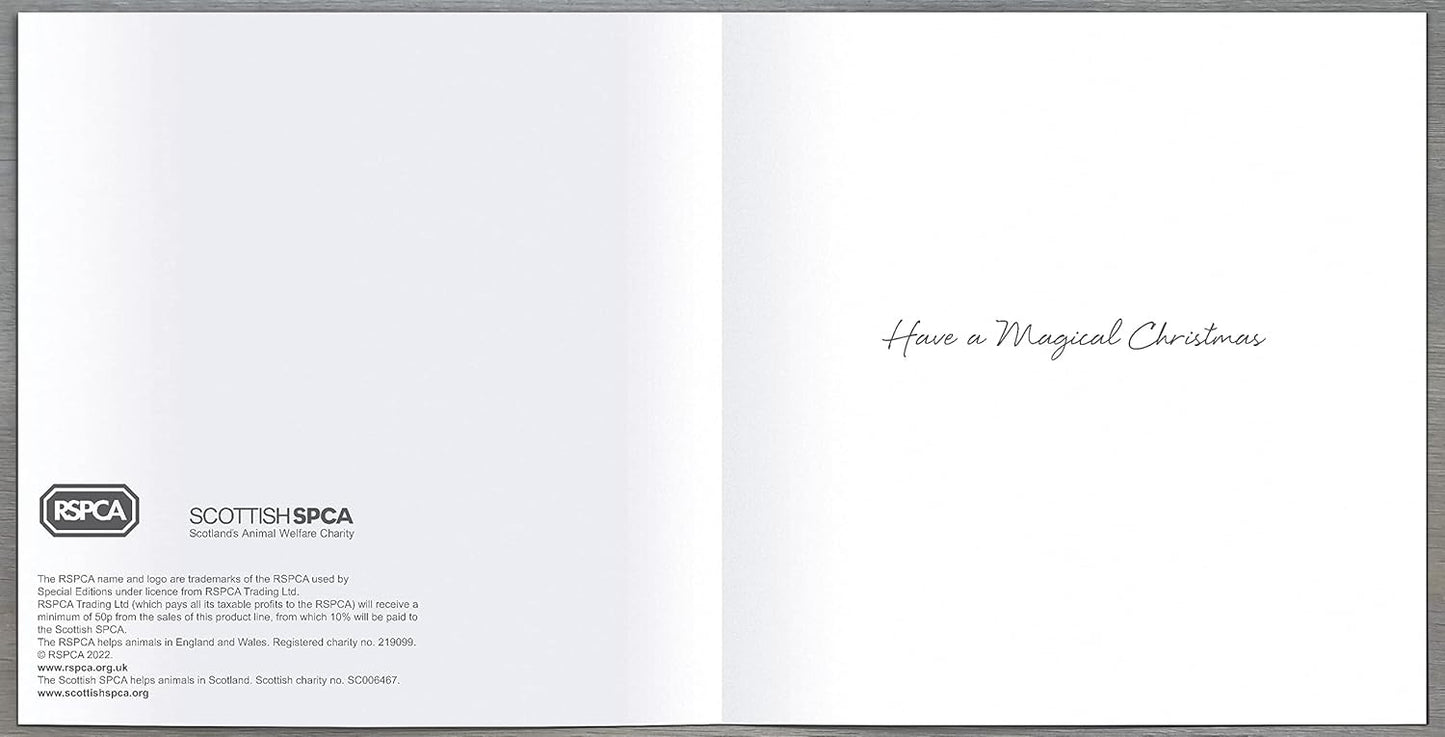 Pack of 8 Nordic Winter Wonderland RSPCA Charity Christmas Cards