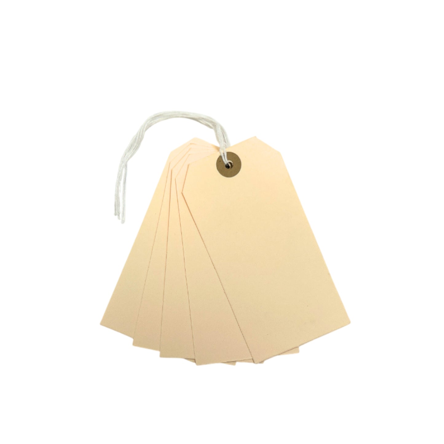 Pack of 120 Manila Luggage Strung Tags 60 x 120mm