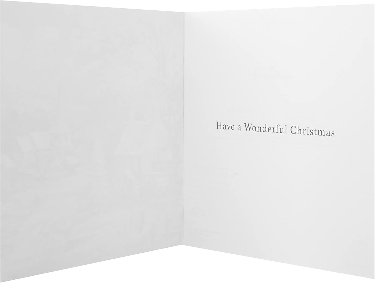 Festive Scene 16 Pack 2 Designs Charity Christmas Cards