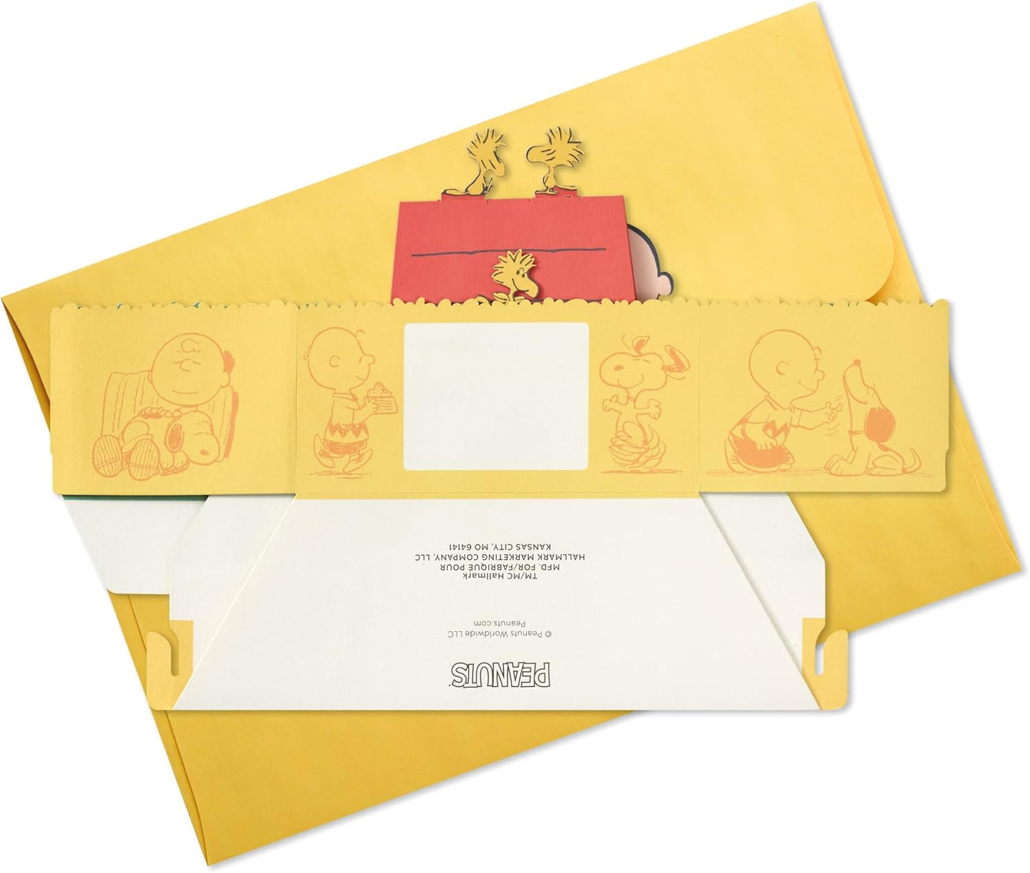 PEANUTS SNOOPY Paper Wonder Collection 3D Pop Up Birthday Card