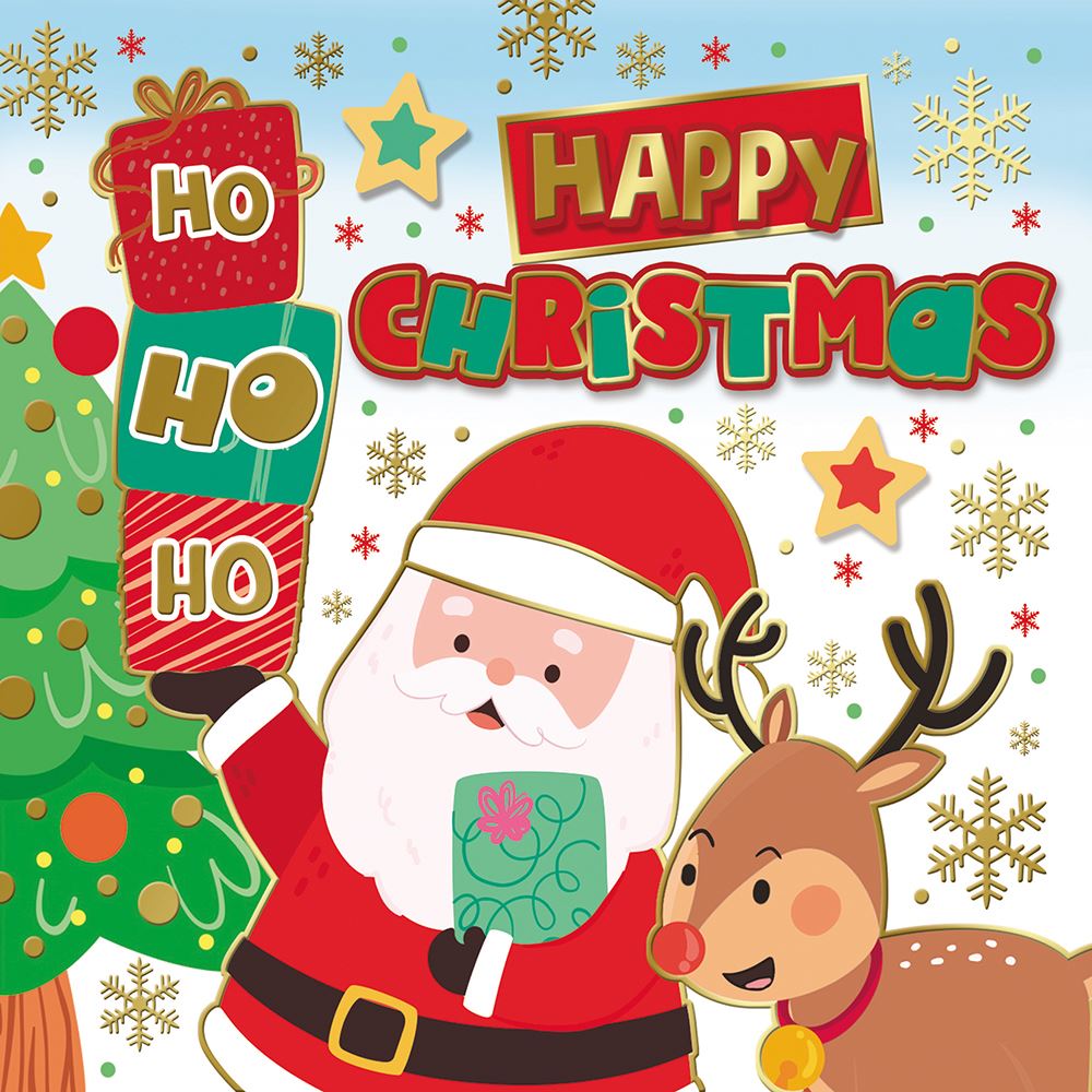 Pack of 10 Santa & Reindeer Christmas Boxed Cards