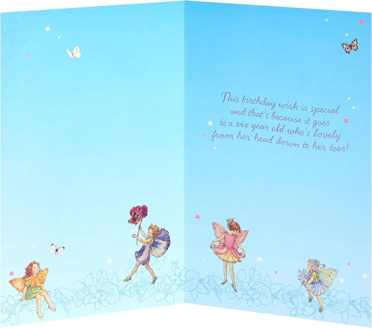 Flower Fairies Design 6th Birthday Card