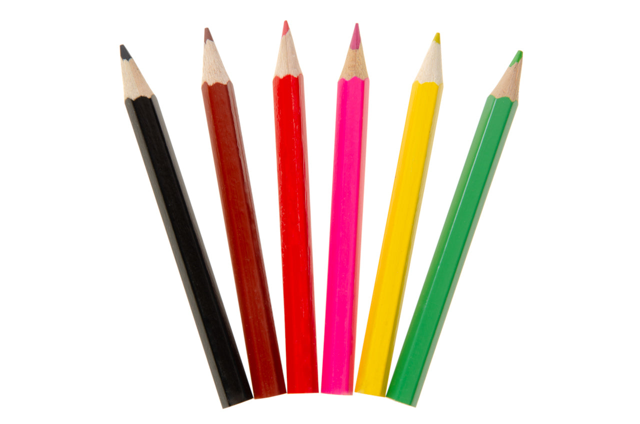 12 Pack of 6 Pieces Farm Animals Colored Pencils 9cm