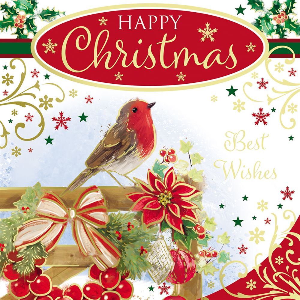 Pack of 10 Festive Robin Christmas Boxed Cards