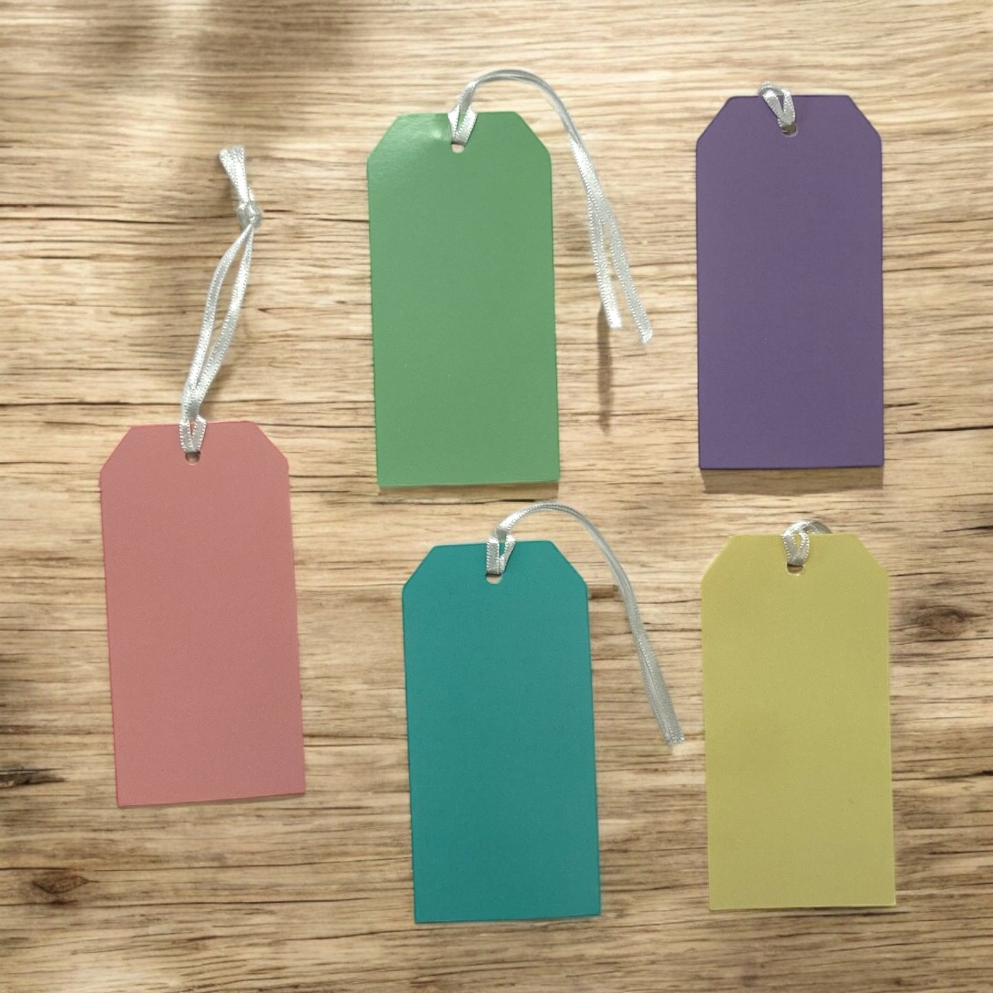 Pack of 10 Assorted Pastel Colour 120x60mm Strung Tags