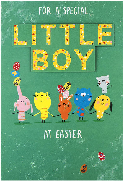 For A Special Little Boy Cute Embossed Design Easter Card