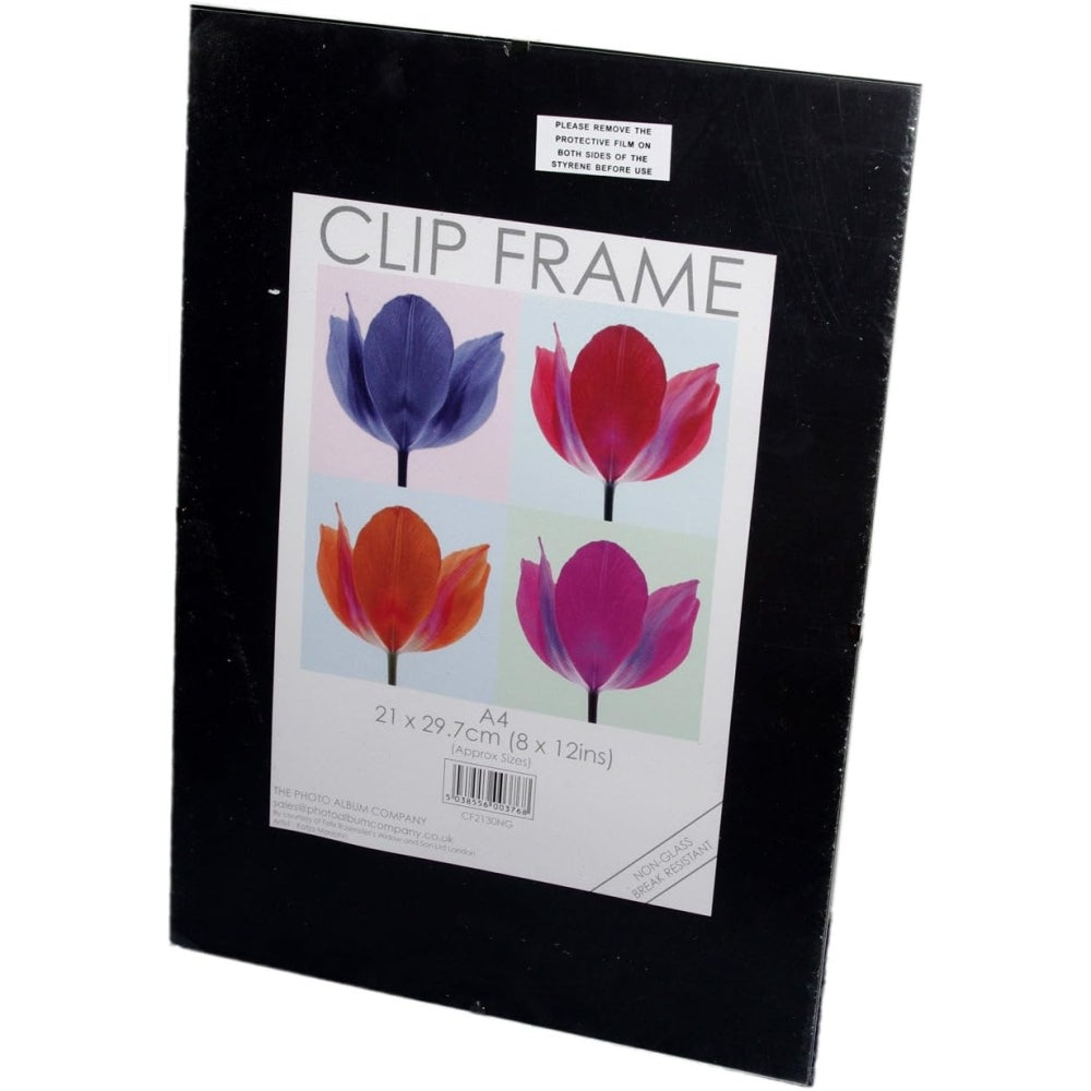 Hampton A4 Non Glass Clip Frame