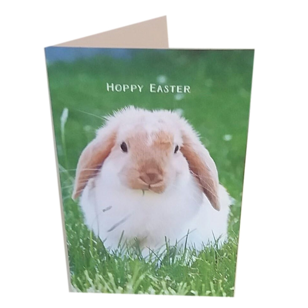 Pack of 5 Bunny Hoppy Easter Greeting Cards