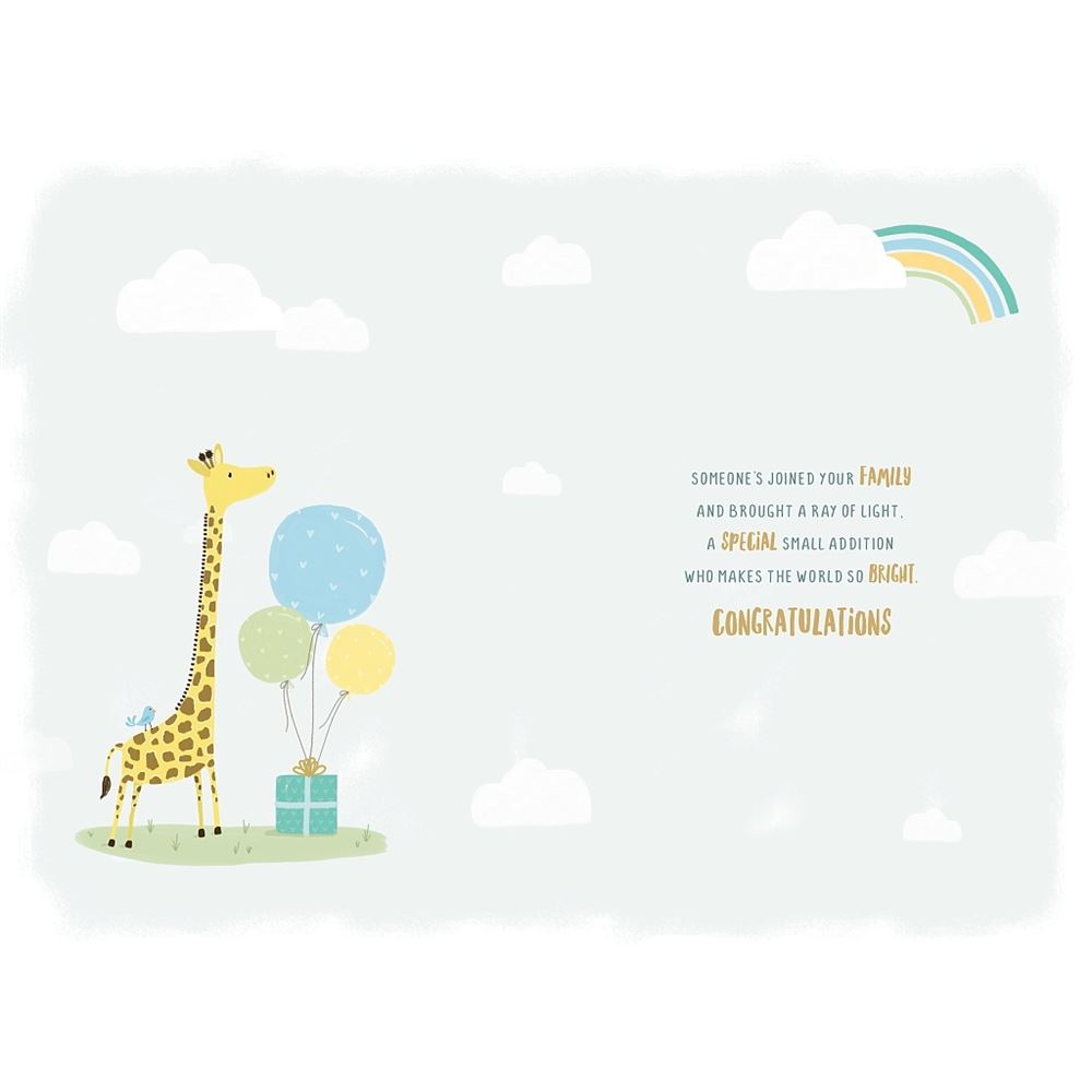 Giraffe, Rainbow & Balloons New Baby Grandson Birth Congratulations Card