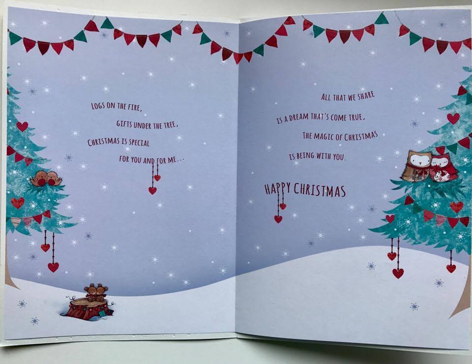 NICE VERSE OWL LOVE COUPLE CHRISTMAS GREETING CARD GIRLFRIEND