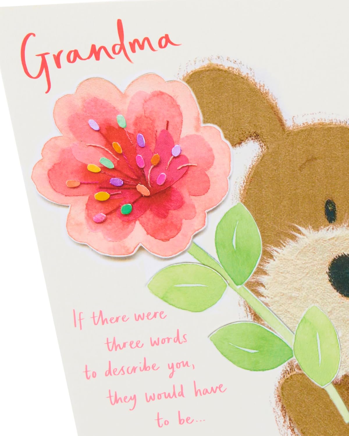 Woof Holding Large Flower Grandma Mother's Day Card