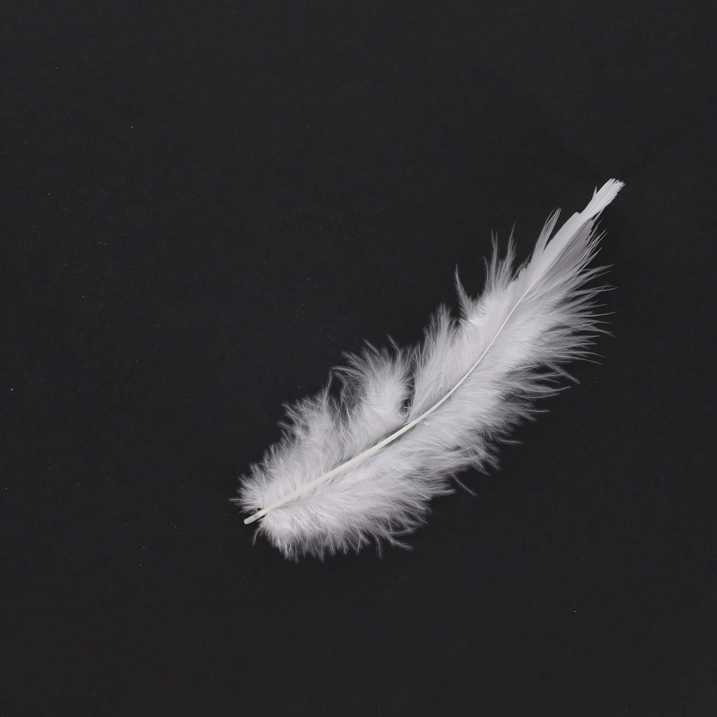Bag of 20g White Feathers by Icon Craft