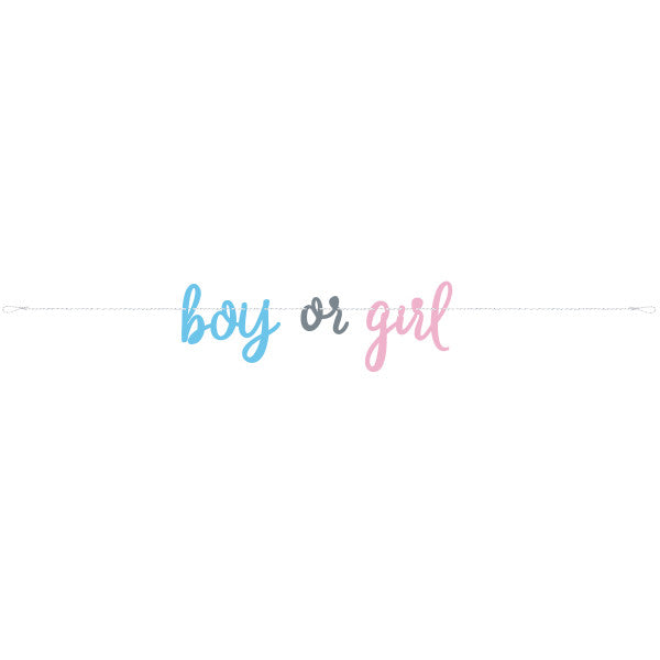 7ft Blue or Pink Gender Reveal Banner