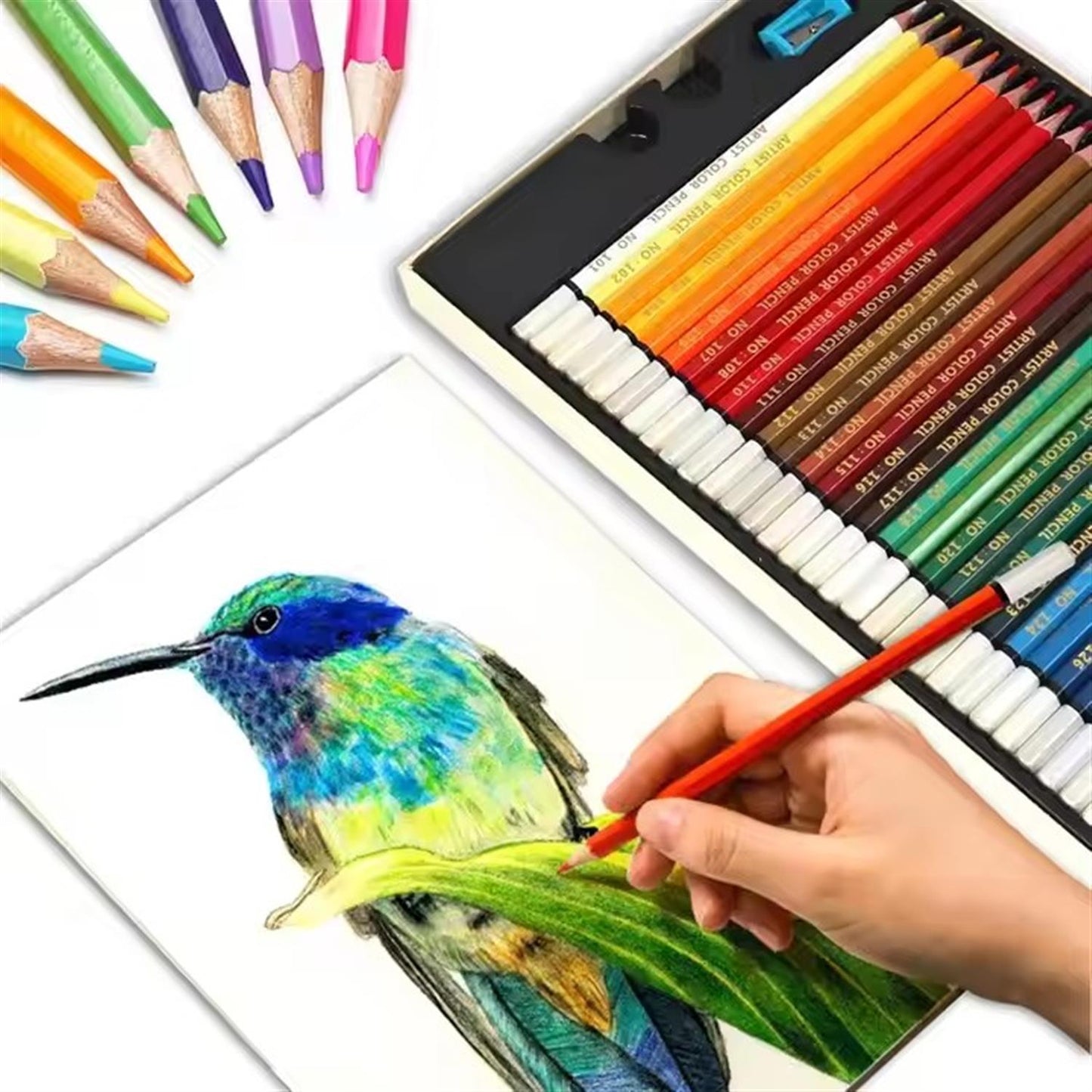 Pack of 72 Oily Colour Pencils With Sharpeners
