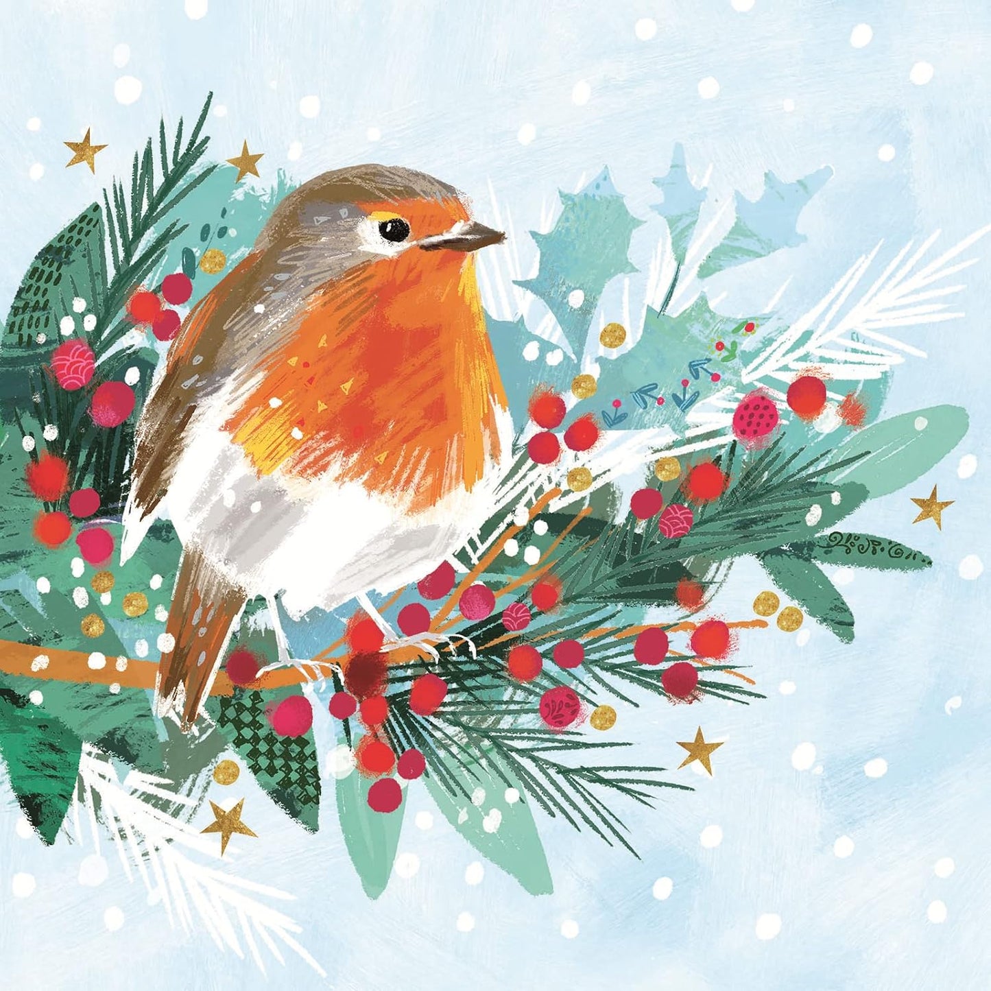 Pack of 8 Holly Festive Snowy Robin RSPCA Charity Christmas Cards with Envelopes