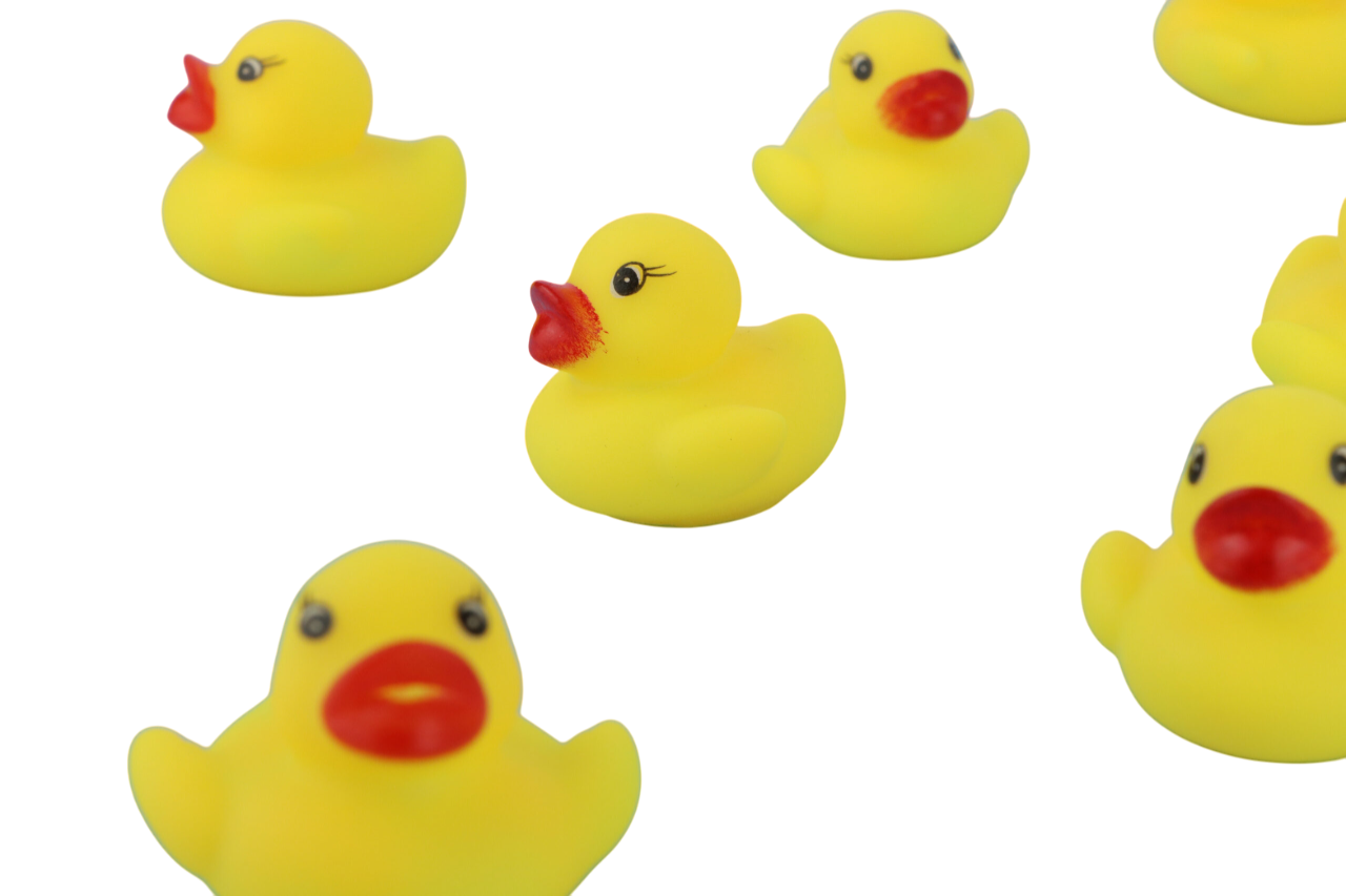Pack of 5 Pieces Ducks with Net