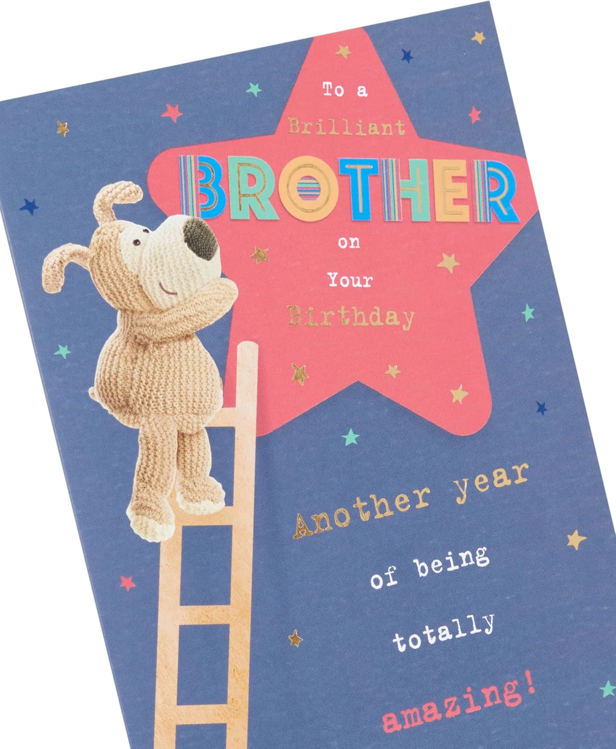 Boofle on Ladder Design Brother Birthday Card