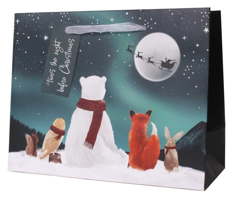 Stargazing Landscape Medium Christmas Gift bag