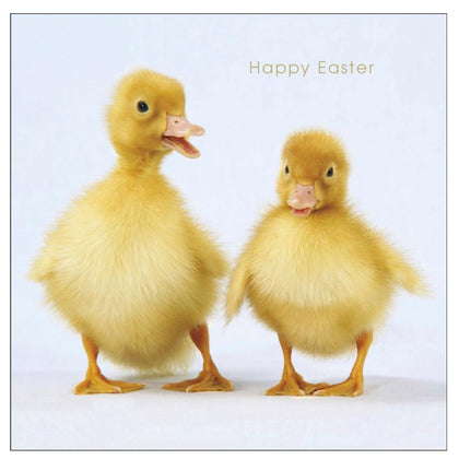 Camden Photographic Cute Chicks Foil Finished Easter Card