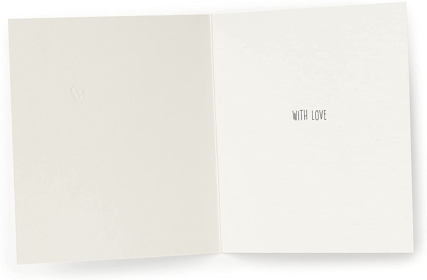 Open Blank Greetings Card {DC}