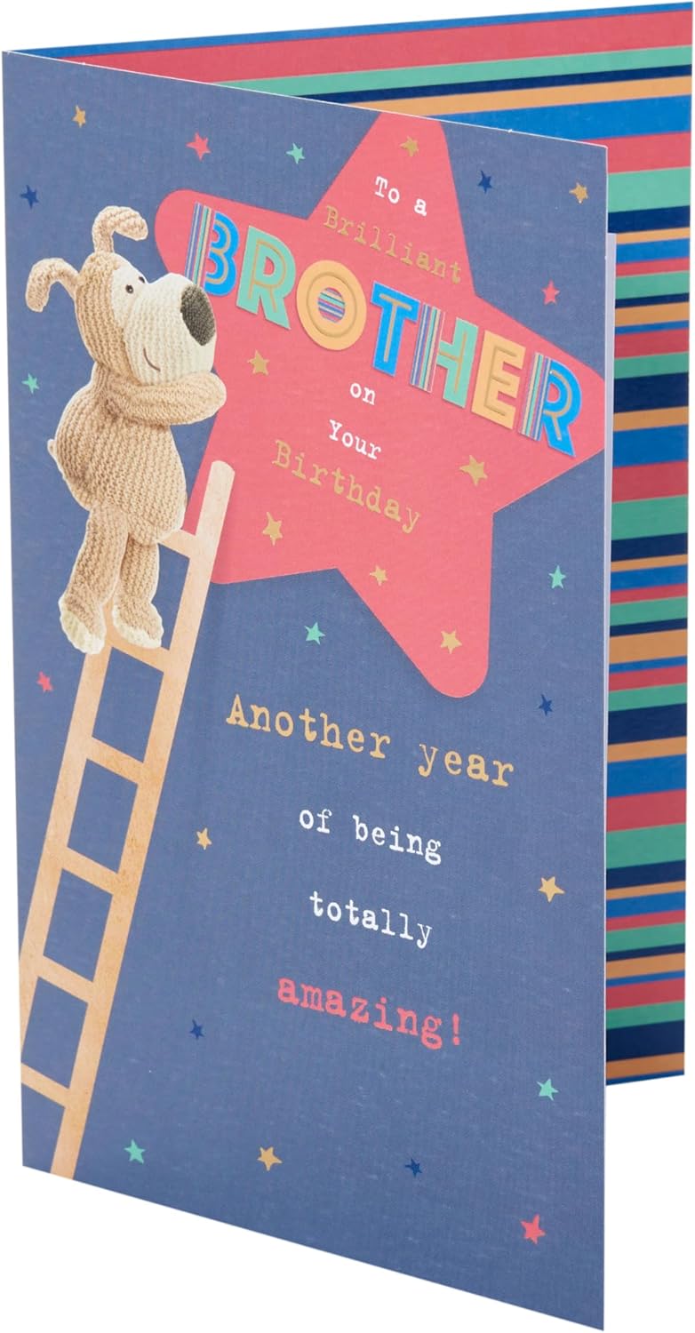 Boofle on Ladder Design Brother Birthday Card