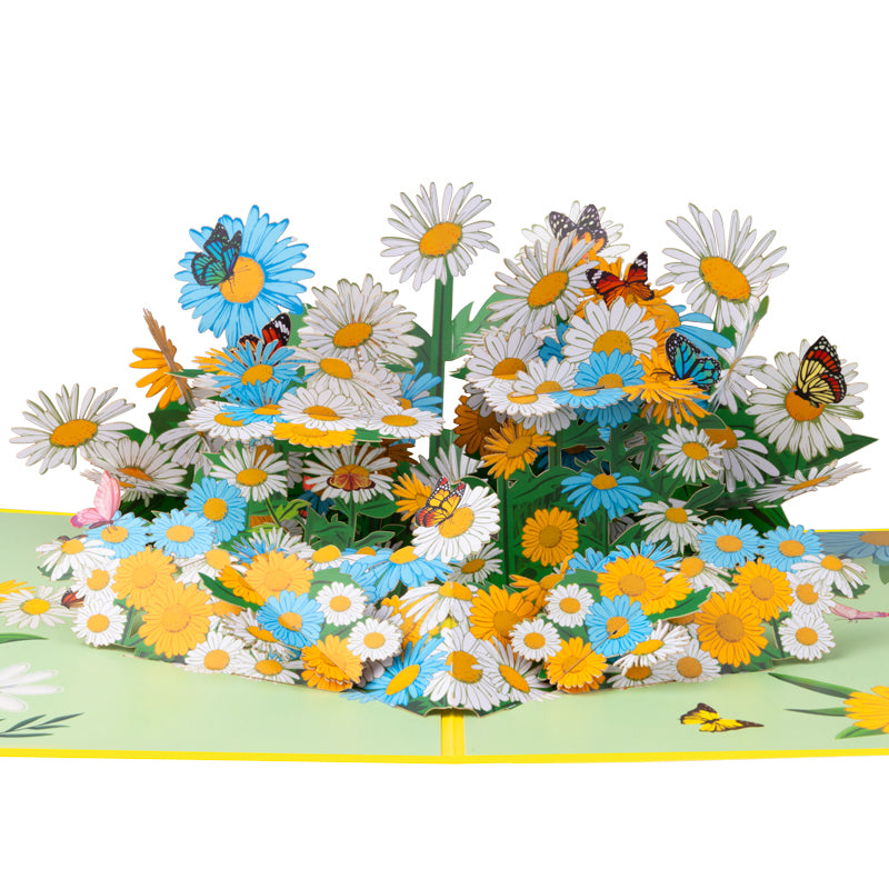 Daisy Delight 3D Floral Pop Up Greeting Card