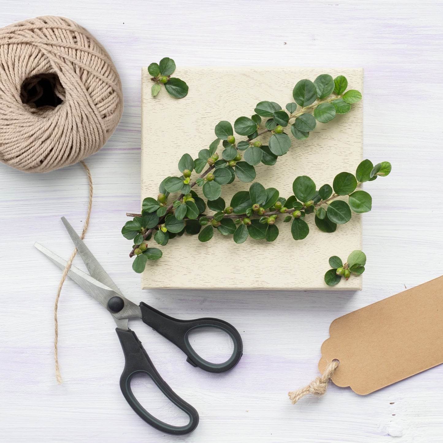 Pack of 36 Cotton Twine Rolls 9 Ply 30g Per Roll for Crafting and Packaging