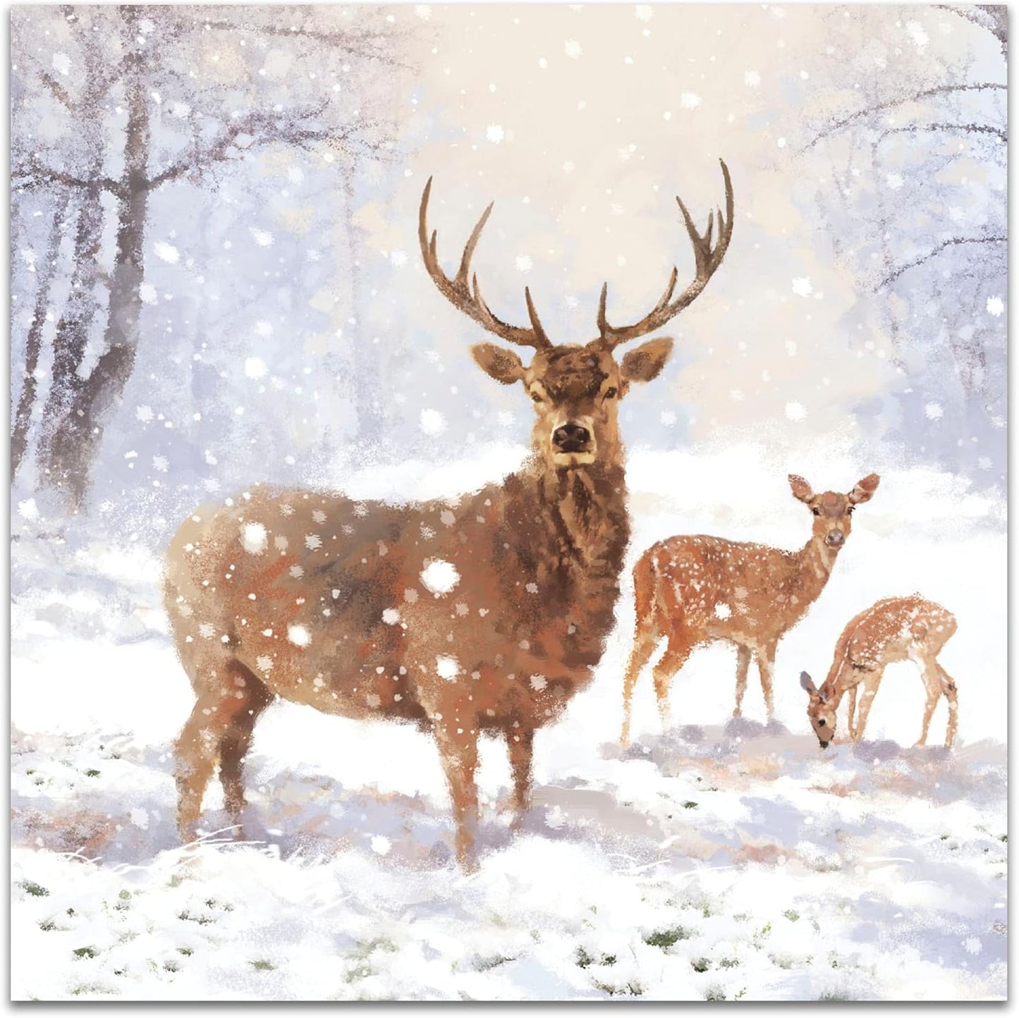 Pack of 8 Majestic Snowy Stag In Aid Of Mind Charity Christmas Cards
