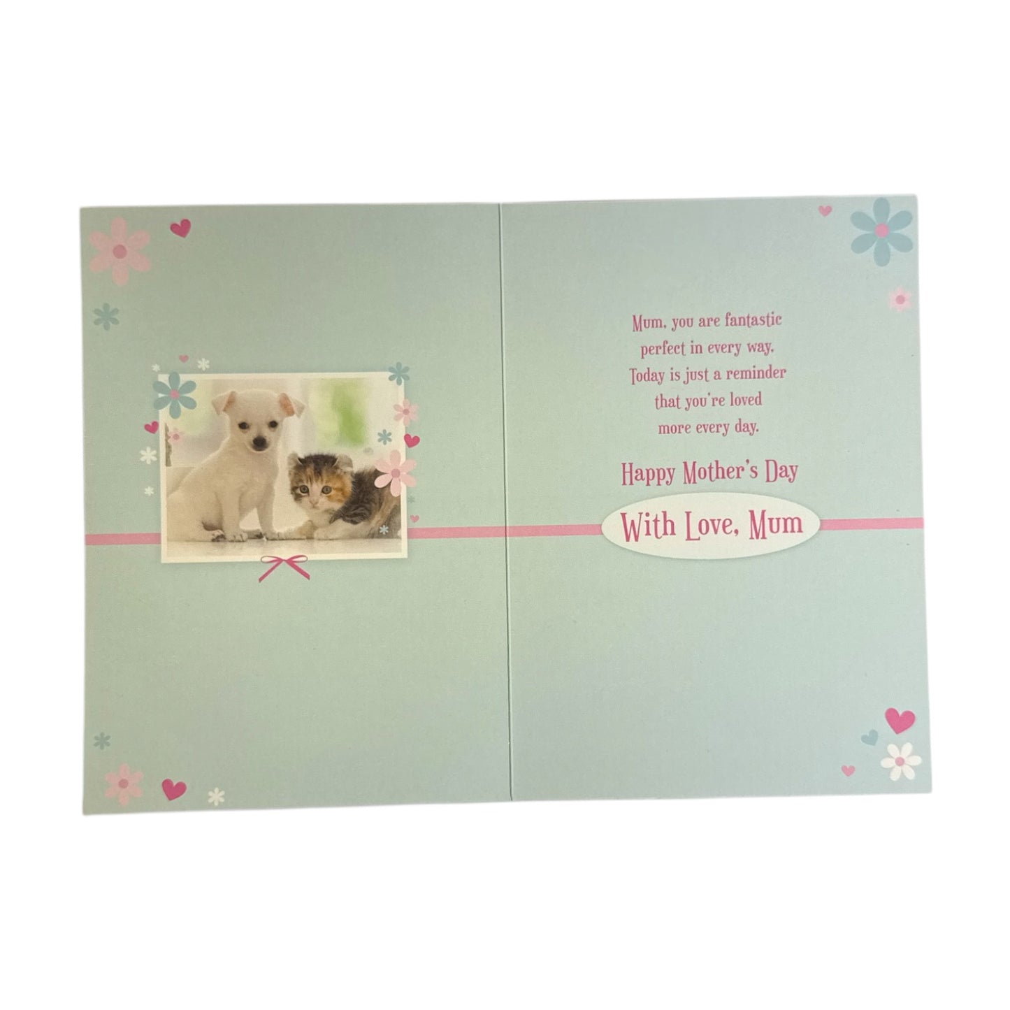 Mum Cat Wearing a Tiara Design Mother's Day Card