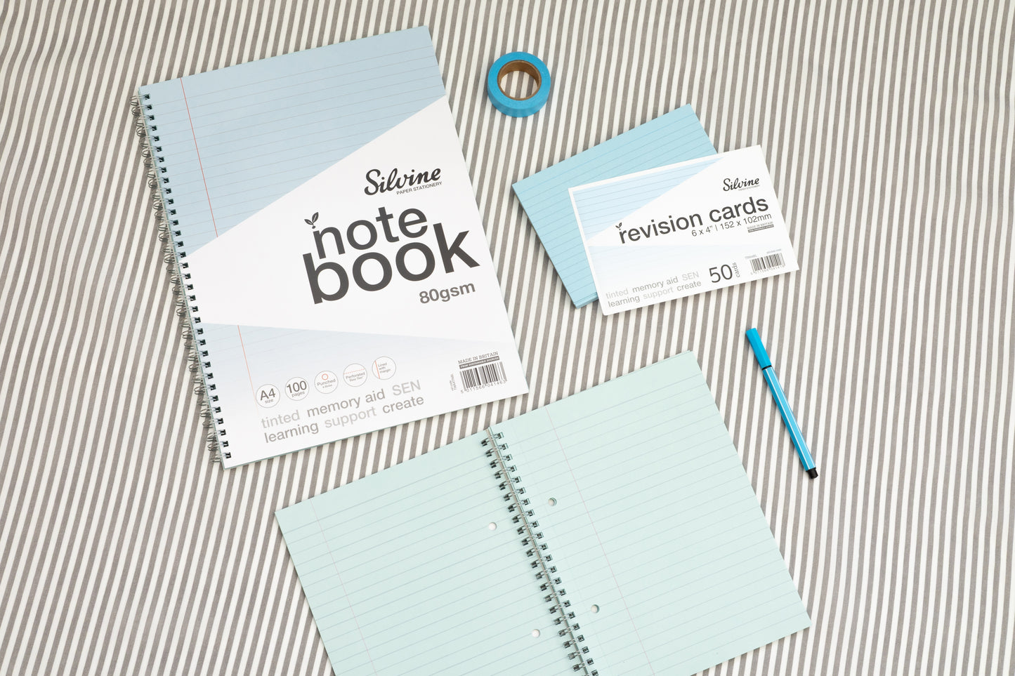 Pack of 1000 6x4" SEN Blue Lined Dyslexia Record Cards