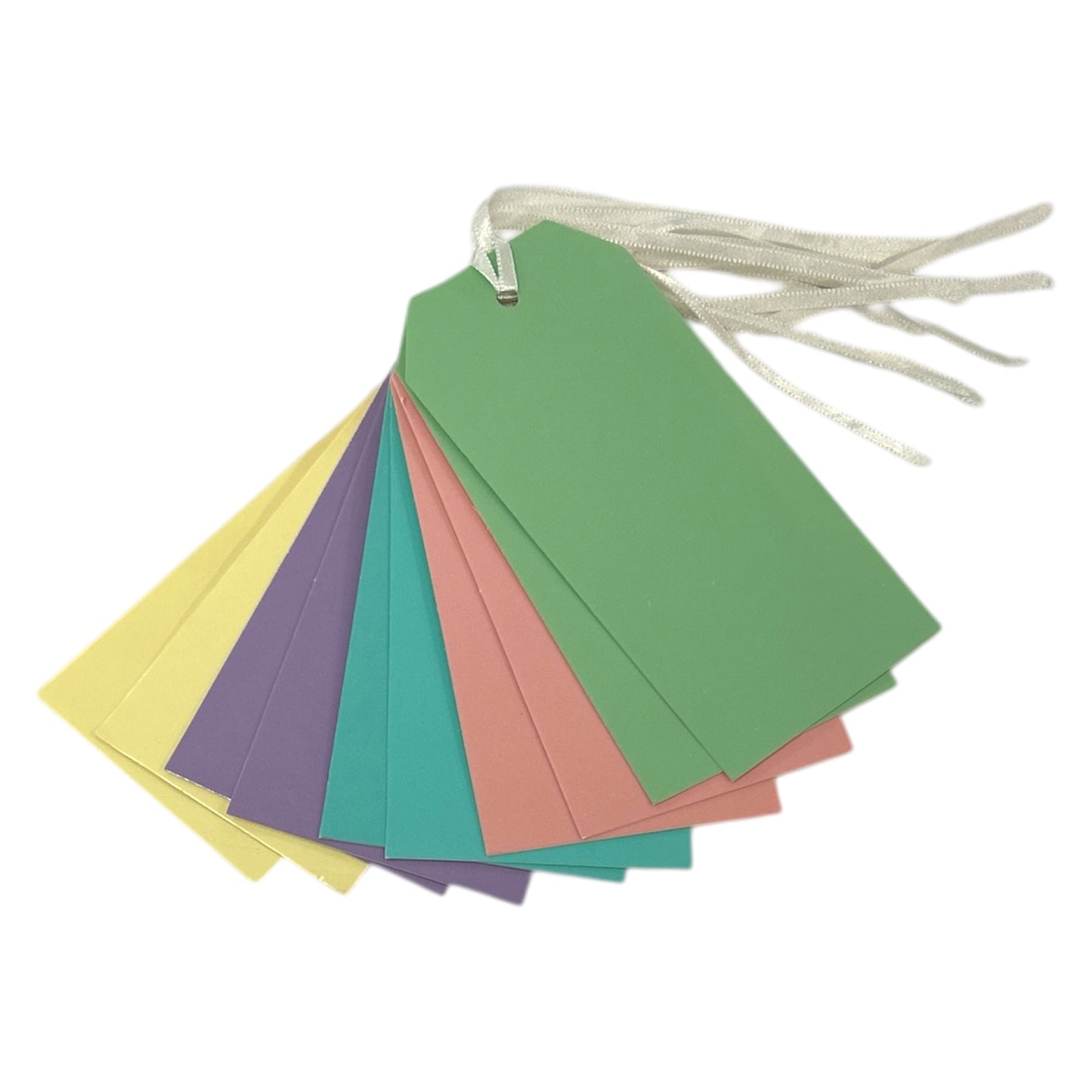 Pack of 10 Assorted Pastel Colour 120x60mm Strung Tags