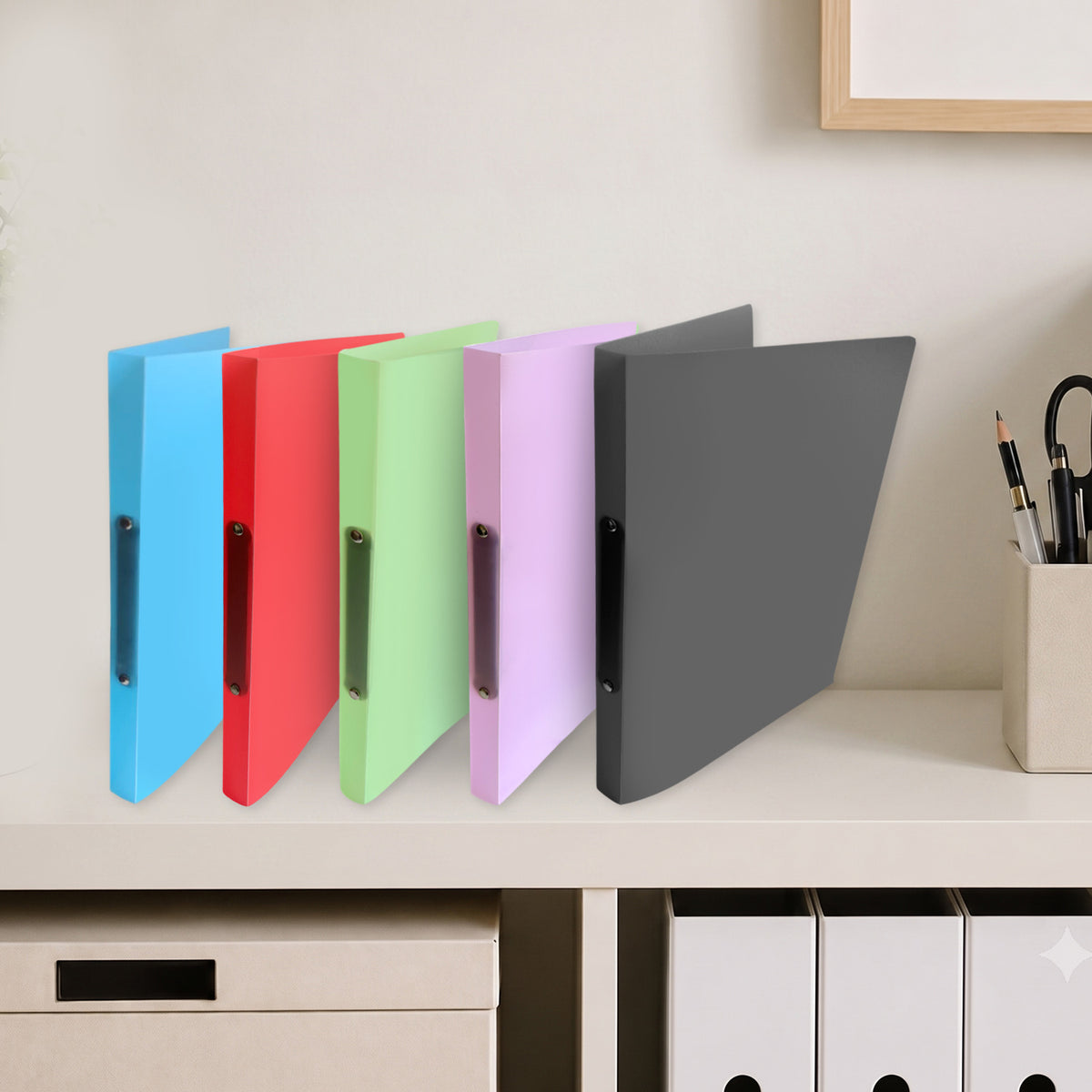 A4 Slim Clear Translucent Ringbinder - Filing Ring Binder Storage