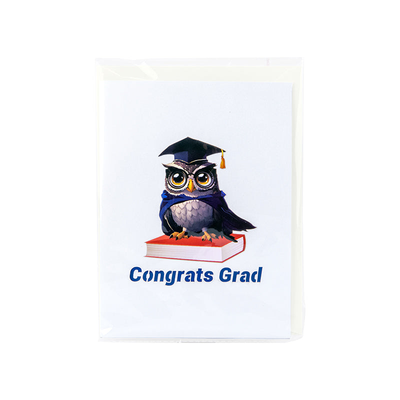 Owl Celebration Scene 3D Pop Up Graduation Congratulations Card