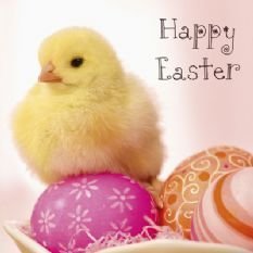 Pack of 5 Yellow Chick And Eggs Easter Cards