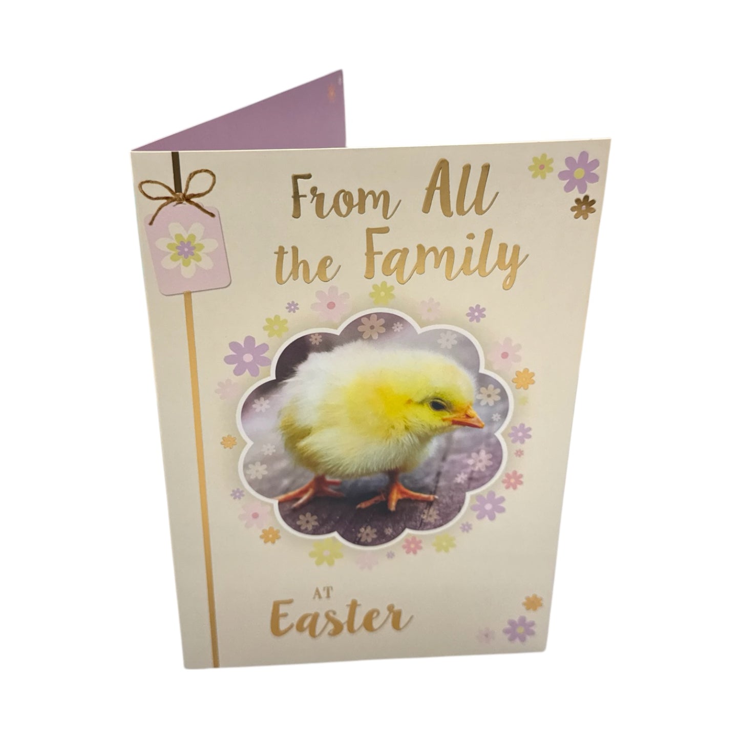 From All The Family Chick Design Happy Easter Card