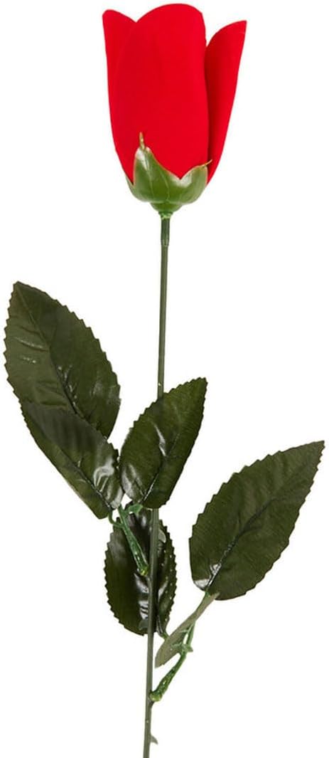 45cm Rose In Acetate Wrap