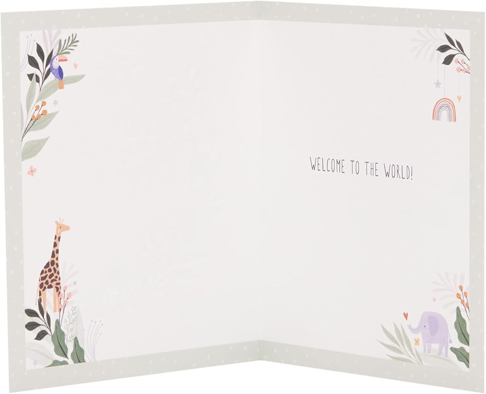 Hello Little One Design New Baby Birth Congrats Card