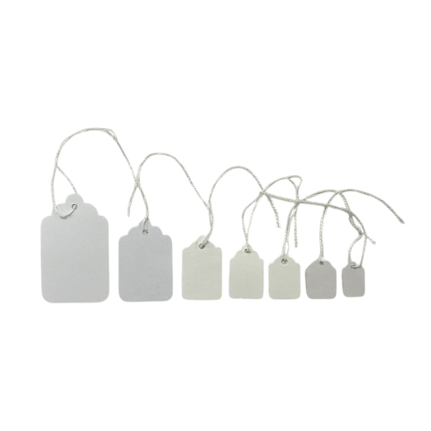 Box of 1000 White Merchandise Tags 24mm x 16mm
