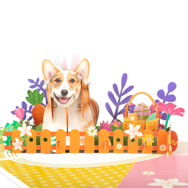 Bloom & Bark Corgi in Bunny Ears 3D Pop Up Easter Card