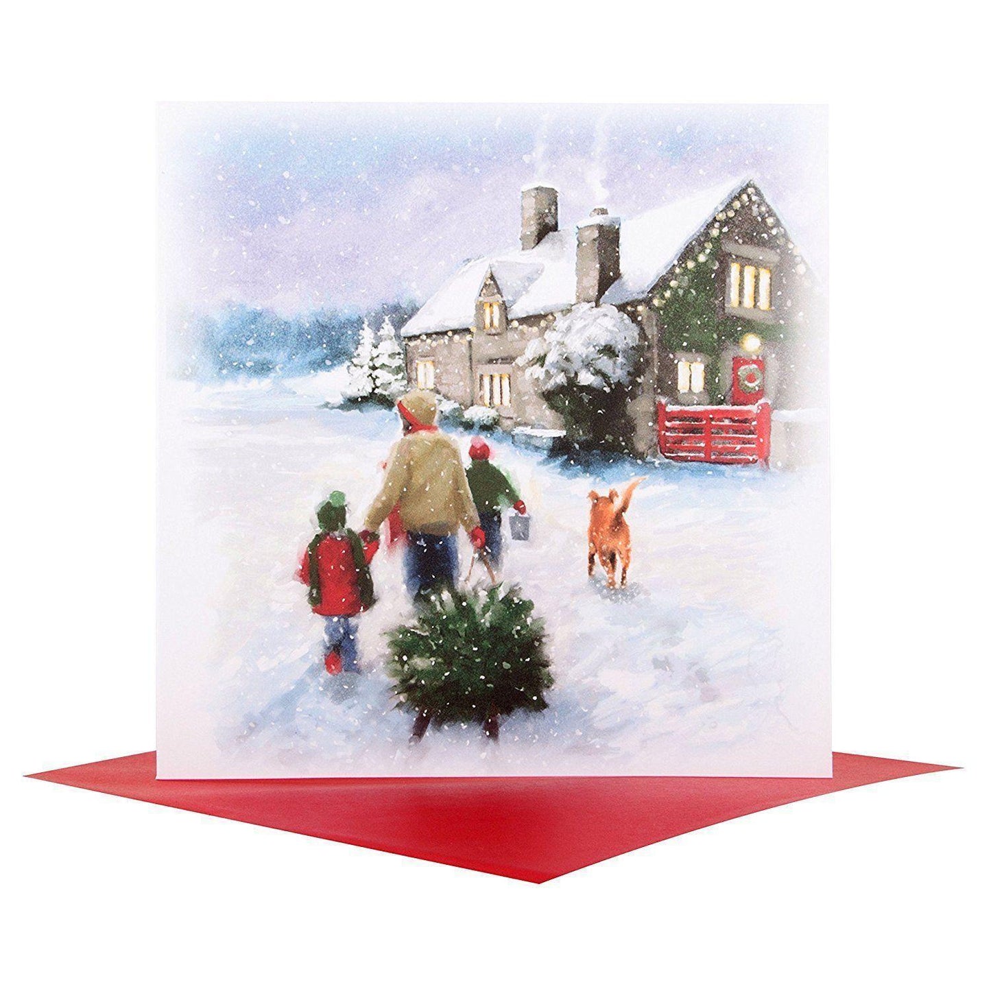 Snowy Christmas Card 'Blank'