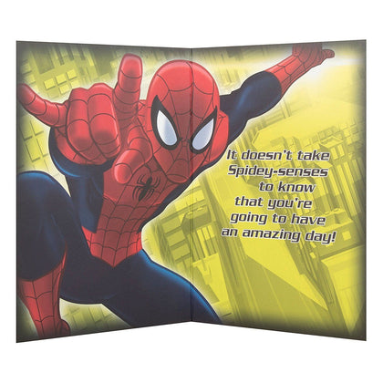 Spiderman Nephew Birthday Card Hero