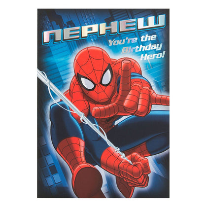 Spiderman Nephew Birthday Card Hero