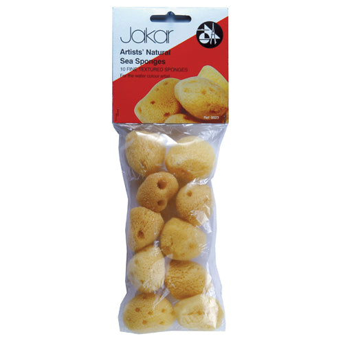Pack of 10 Natural Sea Sponge