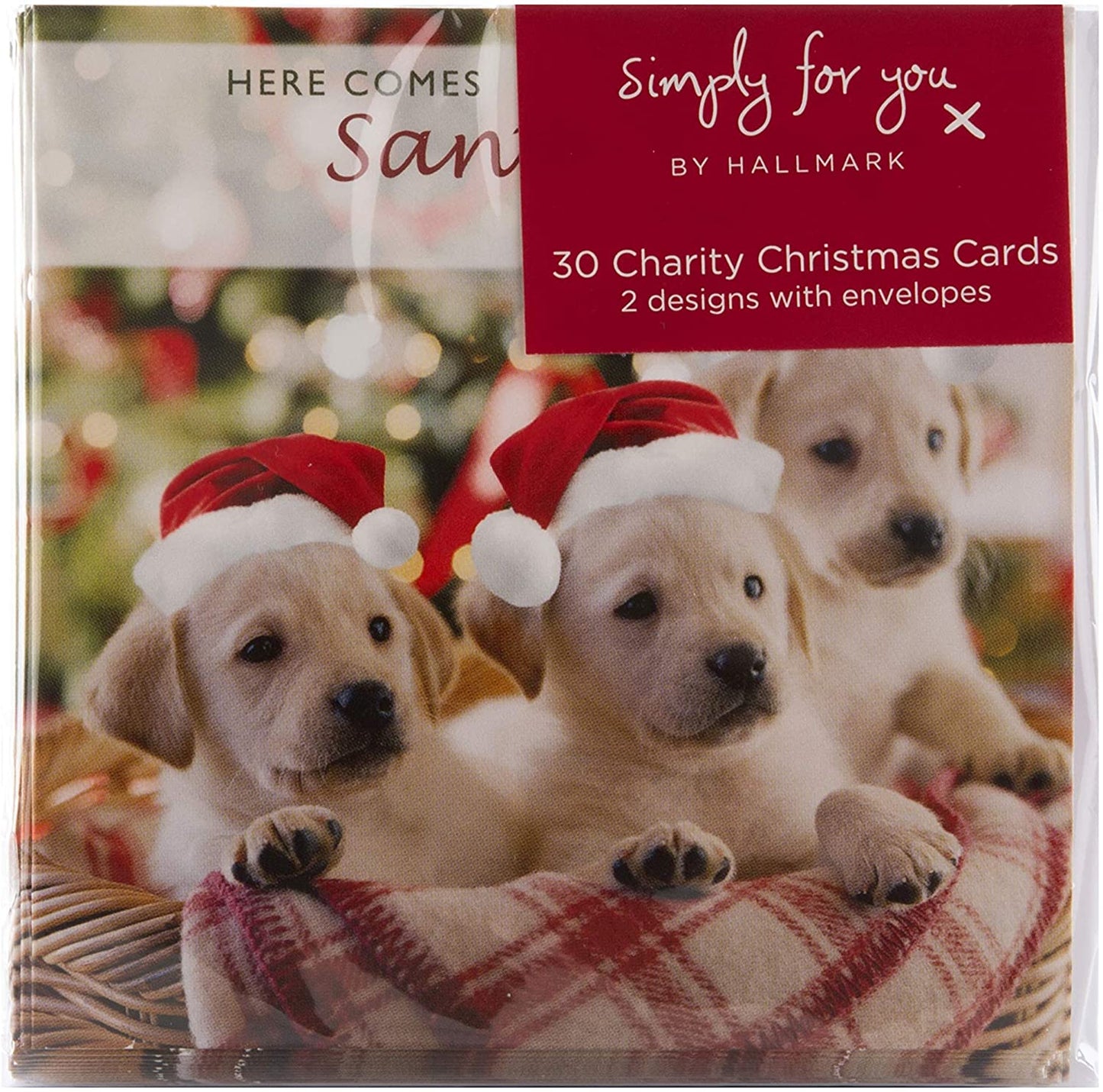 Mini Photographic Charity Christmas Cards, In 2 Designs, Pack of 30